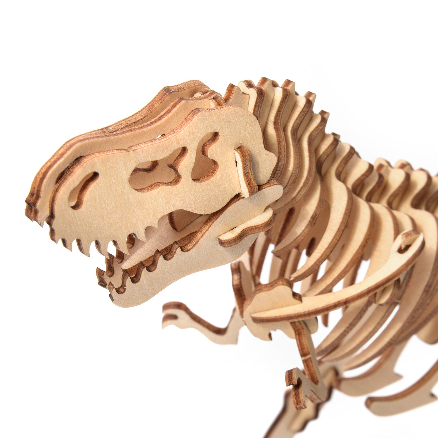 Little Story - Tyrannosaurus Rex