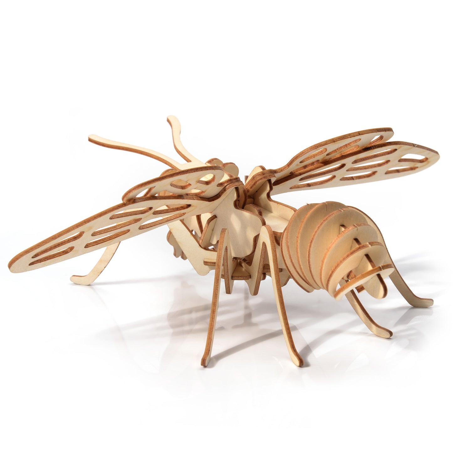 Little Story - Bee