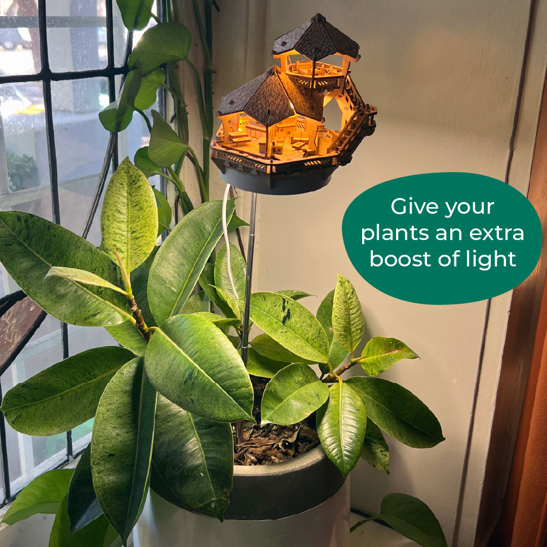 Tiny Treehouses - Island Cabana Grow Light
