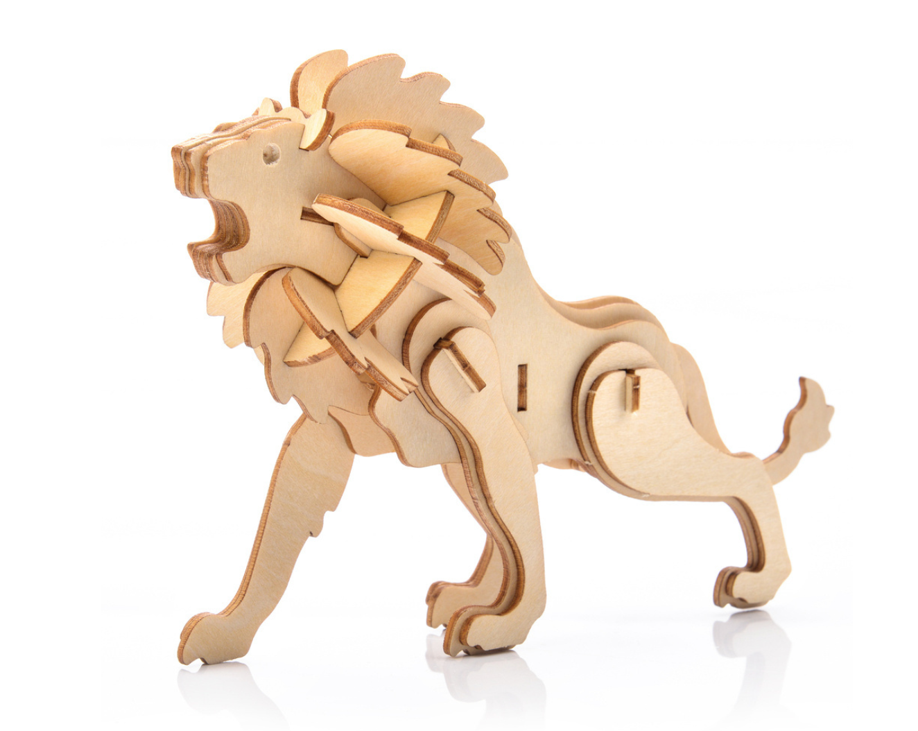 Little Story - Lion