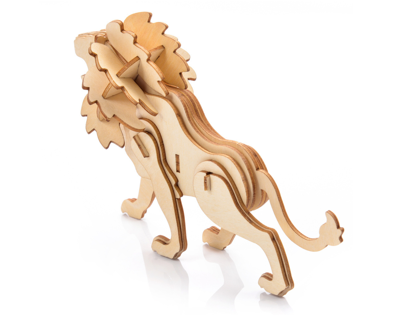 Little Story - Lion