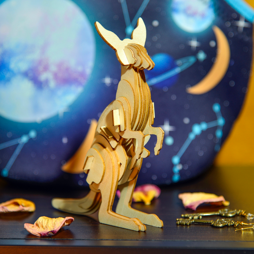 Little Story - Kangaroo