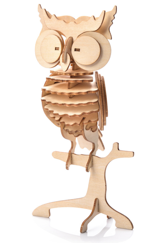 Little Story - Owl