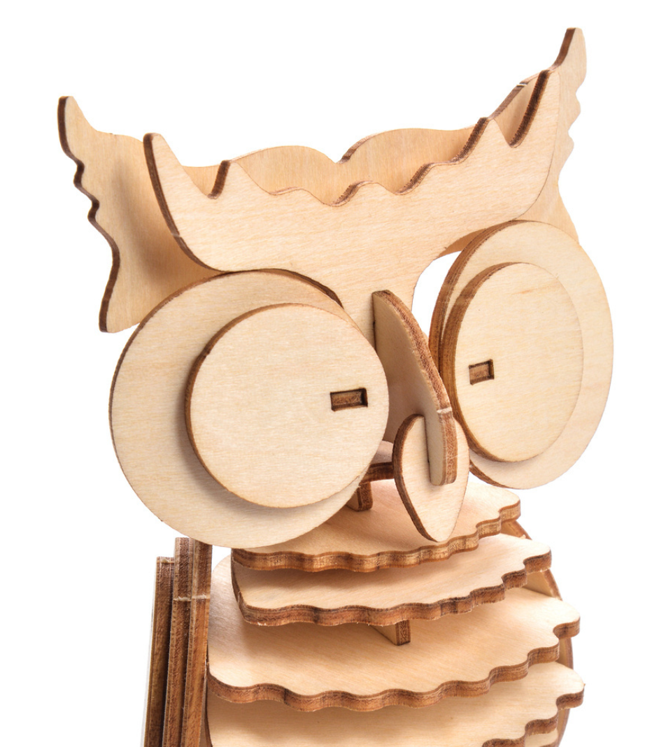Little Story - Owl