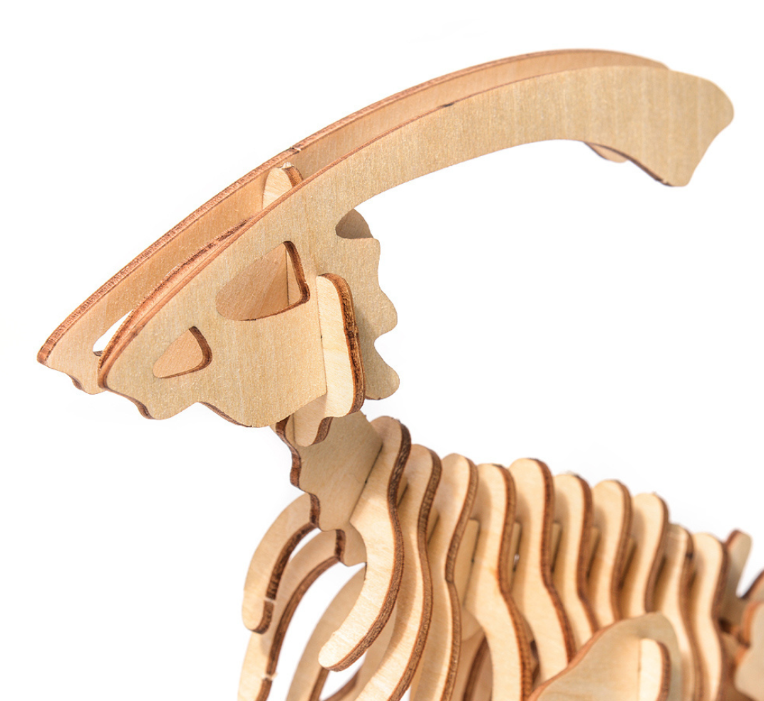Little Story - Parasaurolophus