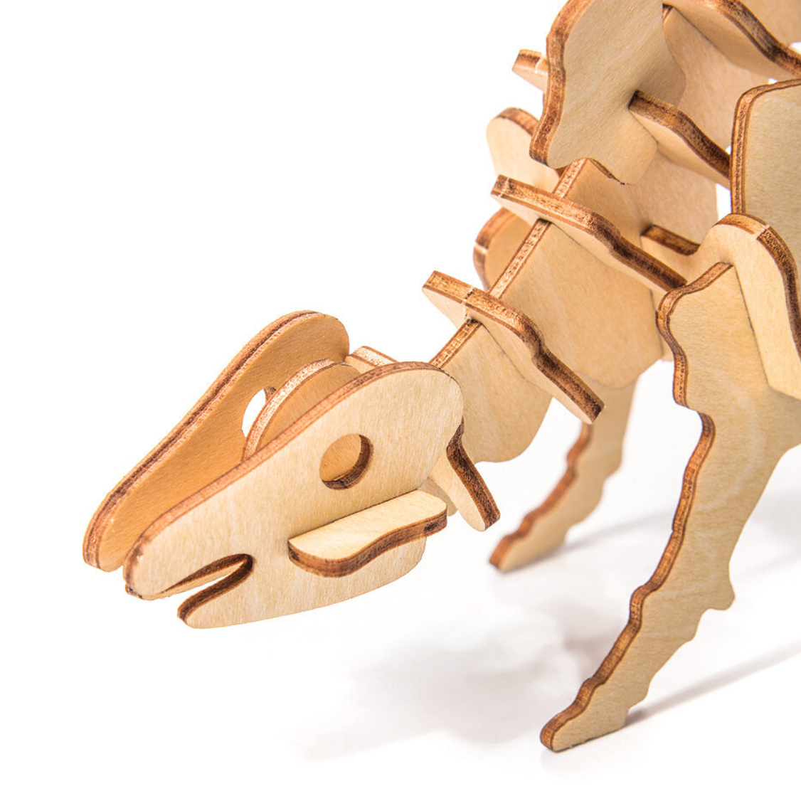 Little Story - Stegosaurus