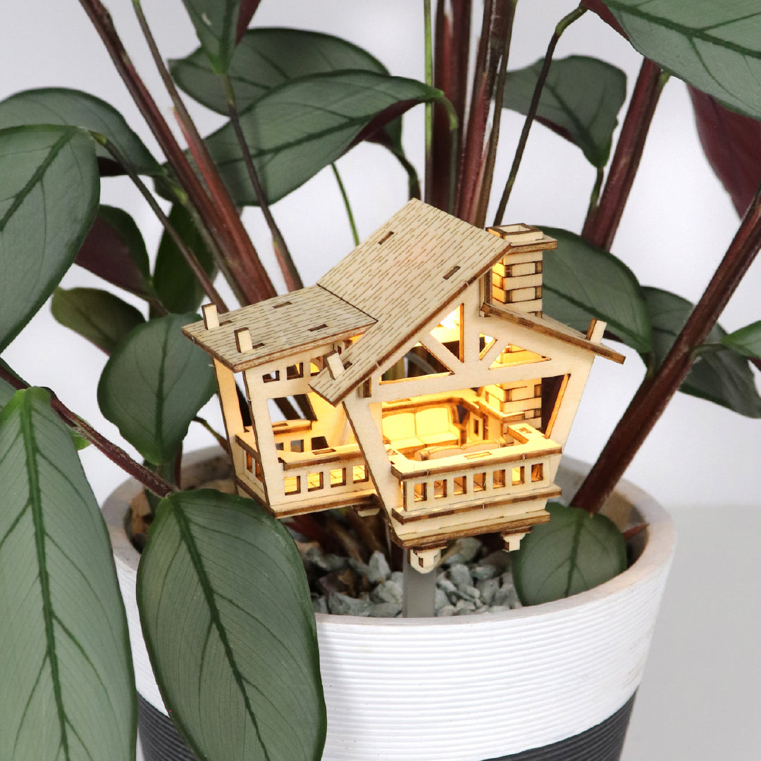 Tiny Treehouses - Lost Cabin