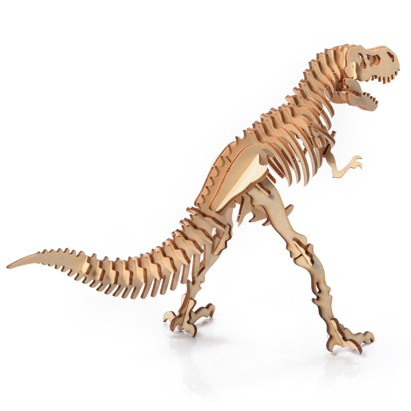 Little Story - Tyrannosaurus Rex